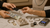 create an image of buying, selling and consigning David Yurman Jewelry